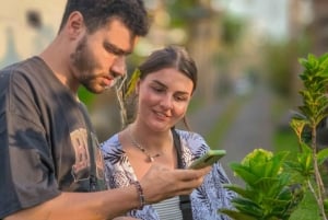 Ubud: Silversmideskurs och kvällstur med eldflugor