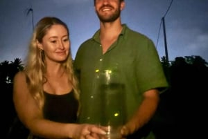 Ubud: Silversmideskurs och kvällstur med eldflugor