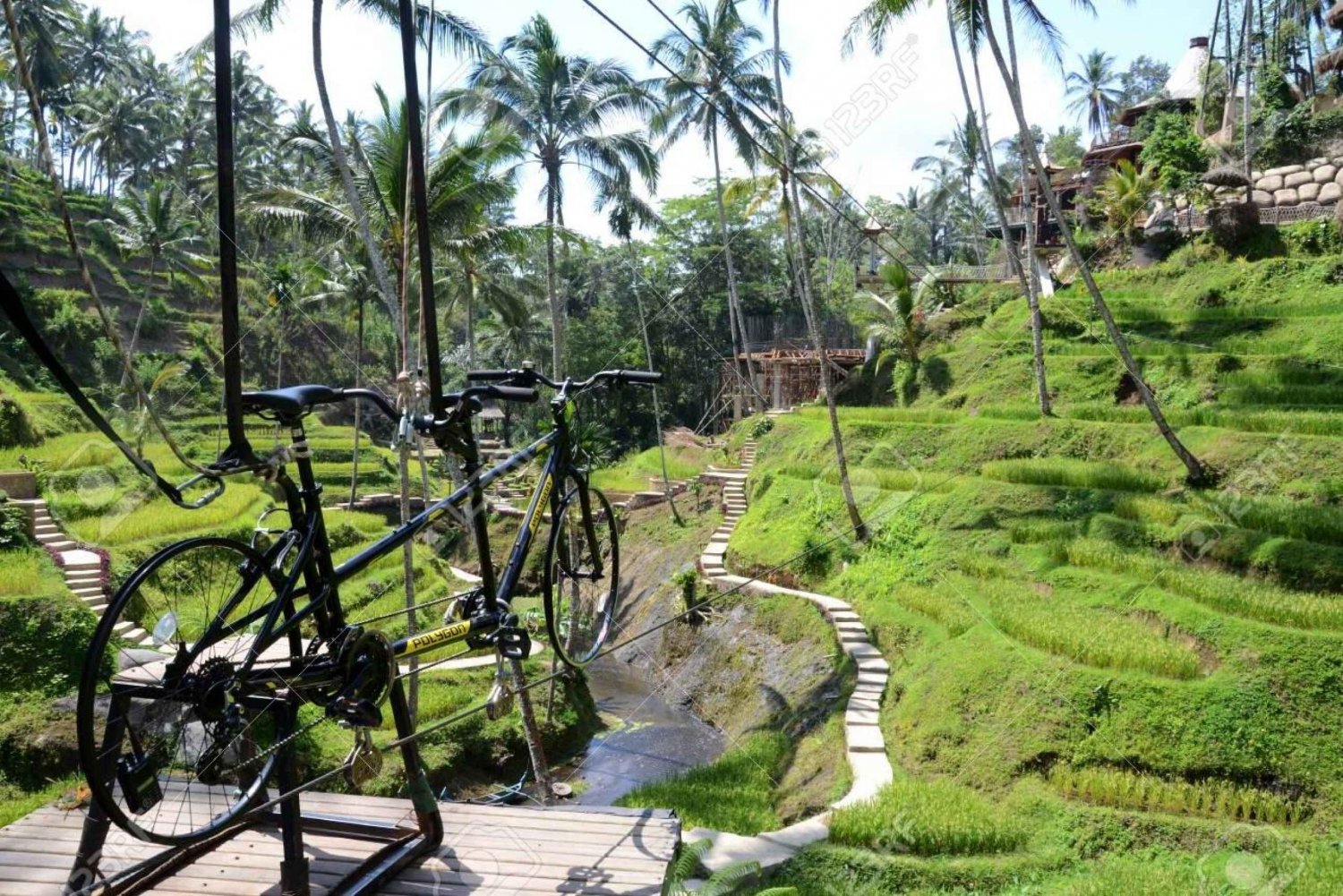 Ubud: Sky Bike ja Jungle Swing Experience kuljetuksen kanssa