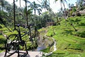 Ubud: Sky Bike Adventure, gynge og risterrasse med transport