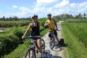 Ubud: South E-Bike Tour & Whitewater Rafting