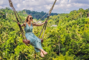 Ubud: Spectacular Waterfalls Tour