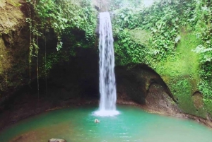 Ubud: Spectacular Waterfalls Tour