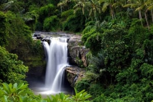 Ubud: Excursión a las Cascadas Espectaculares
