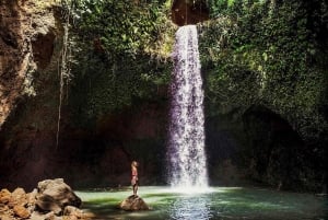 Ubud: Spectacular Waterfalls Tour
