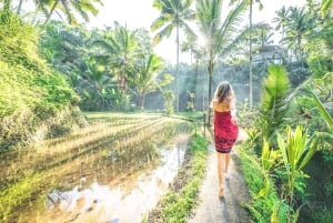 Ubud: Spectacular Waterfalls Tour