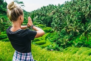 Ubud: Spectacular Waterfalls Tour