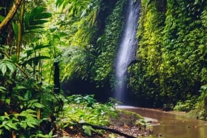 Ubud: Spectacular Waterfalls Tour