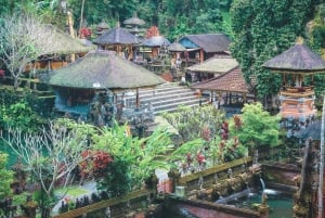 Ubud: Spectacular Waterfalls Tour