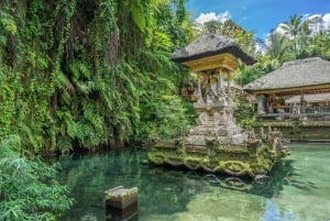 Ubud: Spectacular Waterfalls Tour