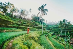 Ubud: Spectacular Waterfalls Tour