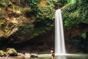 Ubud: Spectacular Waterfalls Tour