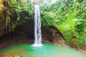 Ubud: Spectacular Waterfalls Tour