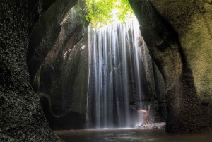 Ubud: Spectacular Waterfalls Tour