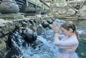 Ubud: Spiritual Journey Tampaksiring, Falls & Green Terraces