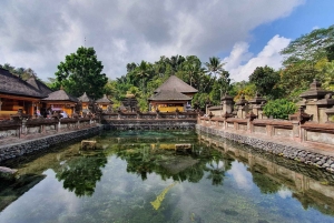 Ubud: Spiritual Journey Tampaksiring, Falls & Green Terraces