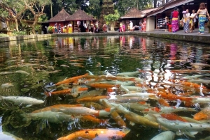 Ubud: Spiritual Journey Tampaksiring, Falls & Green Terraces