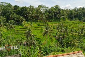 Ubud: Spiritual Journey Tampaksiring, Falls & Green Terraces