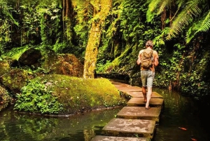 Ubud: Spiritual Journey Tampaksiring, Falls & Green Terraces