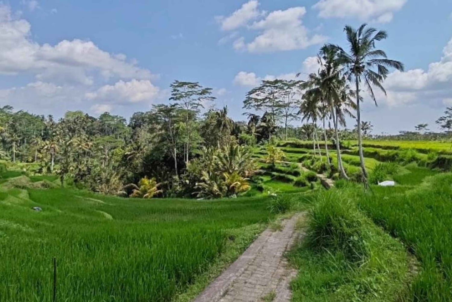 Ubud: Subak Pulagan, wodospad Manuaba i pola ryżowe