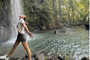 Ubud: Subak Pulagan, wodospad Manuaba i pola ryżowe