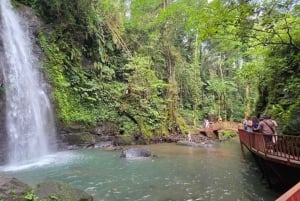 Ubud: Subak Pulagan, wodospad Manuaba i pola ryżowe