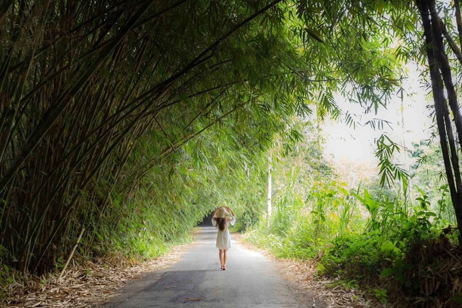 Ubud: Sunrise Bamboo Forest Walk & Penglipuran Village