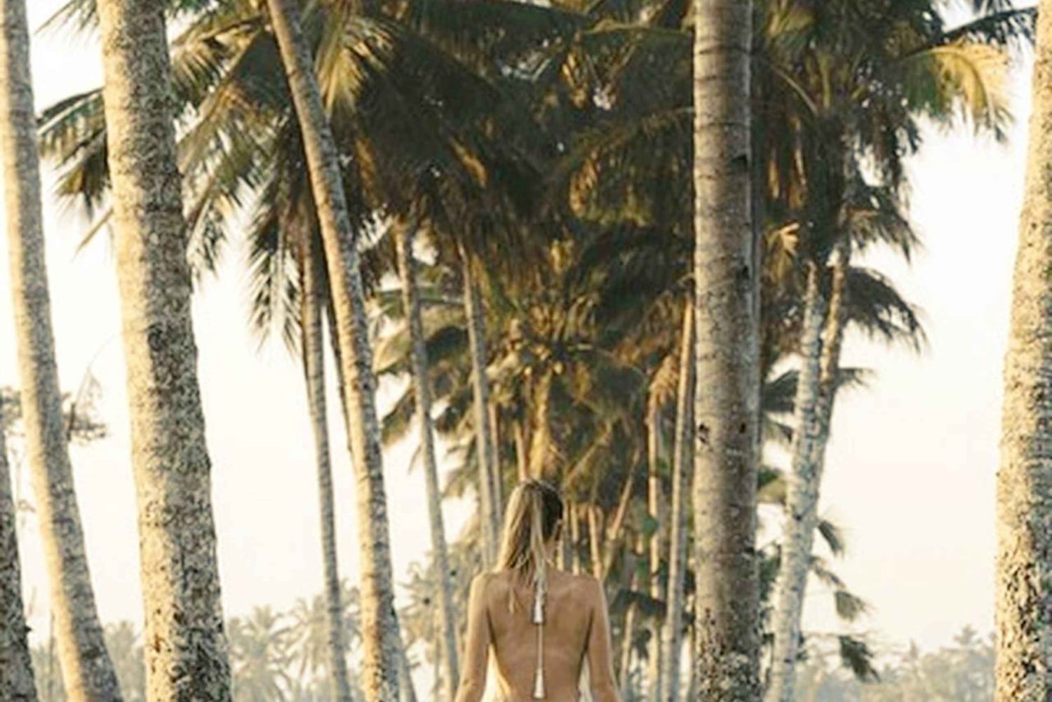 Ubud: aamukävely riisiterassilla, vesitemppeli ja uhrilahja