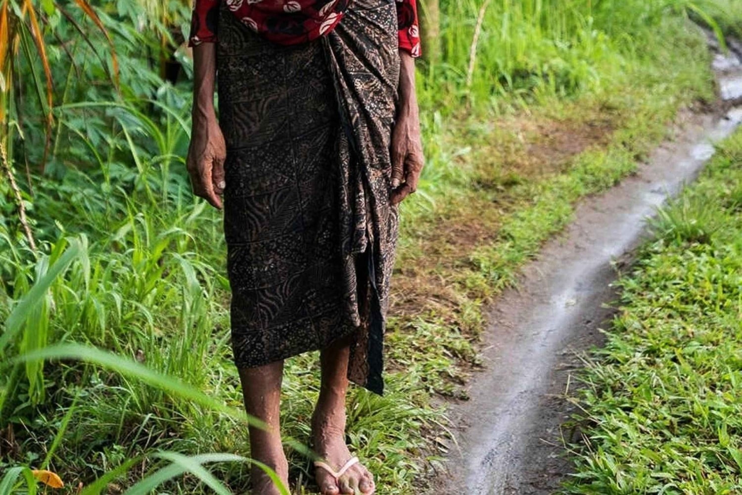 Ubud: aamukävely riisiterassilla, vesitemppeli ja uhrilahja