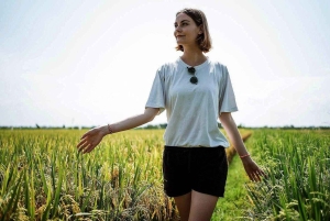 Ubud: aamukävely riisiterassilla, vesitemppeli ja uhrilahja