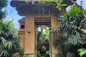 Ubud: aamukävely riisiterassilla, vesitemppeli ja uhrilahja