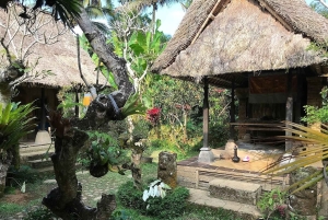 Ubud: aamukävely riisiterassilla, vesitemppeli ja uhrilahja