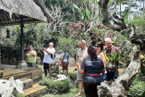 Ubud: aamukävely riisiterassilla, vesitemppeli ja uhrilahja