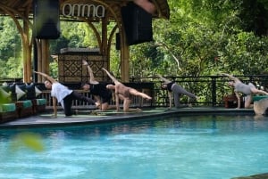 ウブド：日の出ヨガと滝と滝の祝福体験をお楽しみください