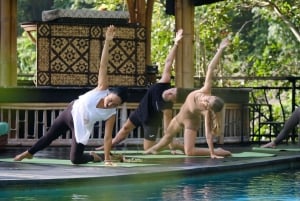 ウブド：日の出ヨガと滝と滝の祝福体験をお楽しみください