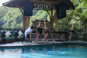 ウブド：日の出ヨガと滝と滝の祝福体験をお楽しみください