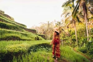 Ubud: Altalena, piantagione di caffè, terrazza di riso e cascata