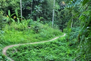 Ubud: Altalena, piantagione di caffè, terrazza di riso e cascata
