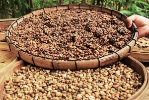 Ubud: Sving, kaffeplantasje, risterrasse og foss
