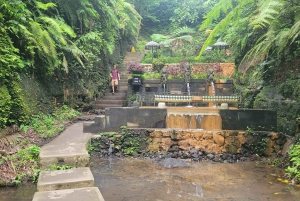 Ubud : Balançoire, plantation de café, rizière et cascade