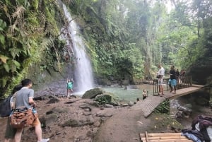 Ubud: Swing, Coffee Plantation, Rice Terrace, and Waterfall