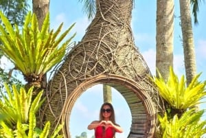 Ubud: Swing Heaven com almoço e boa vista