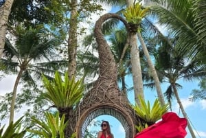 Ubud: Swing Heaven com almoço e boa vista