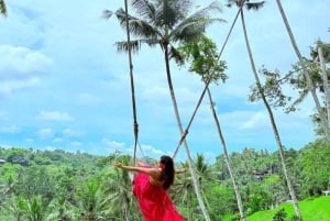 Ubud: Swing Heaven com almoço e boa vista