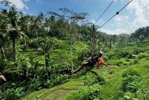 Ubud Zipline Swing SkyBike in Bali Rice Terrace Wycieczka prywatna