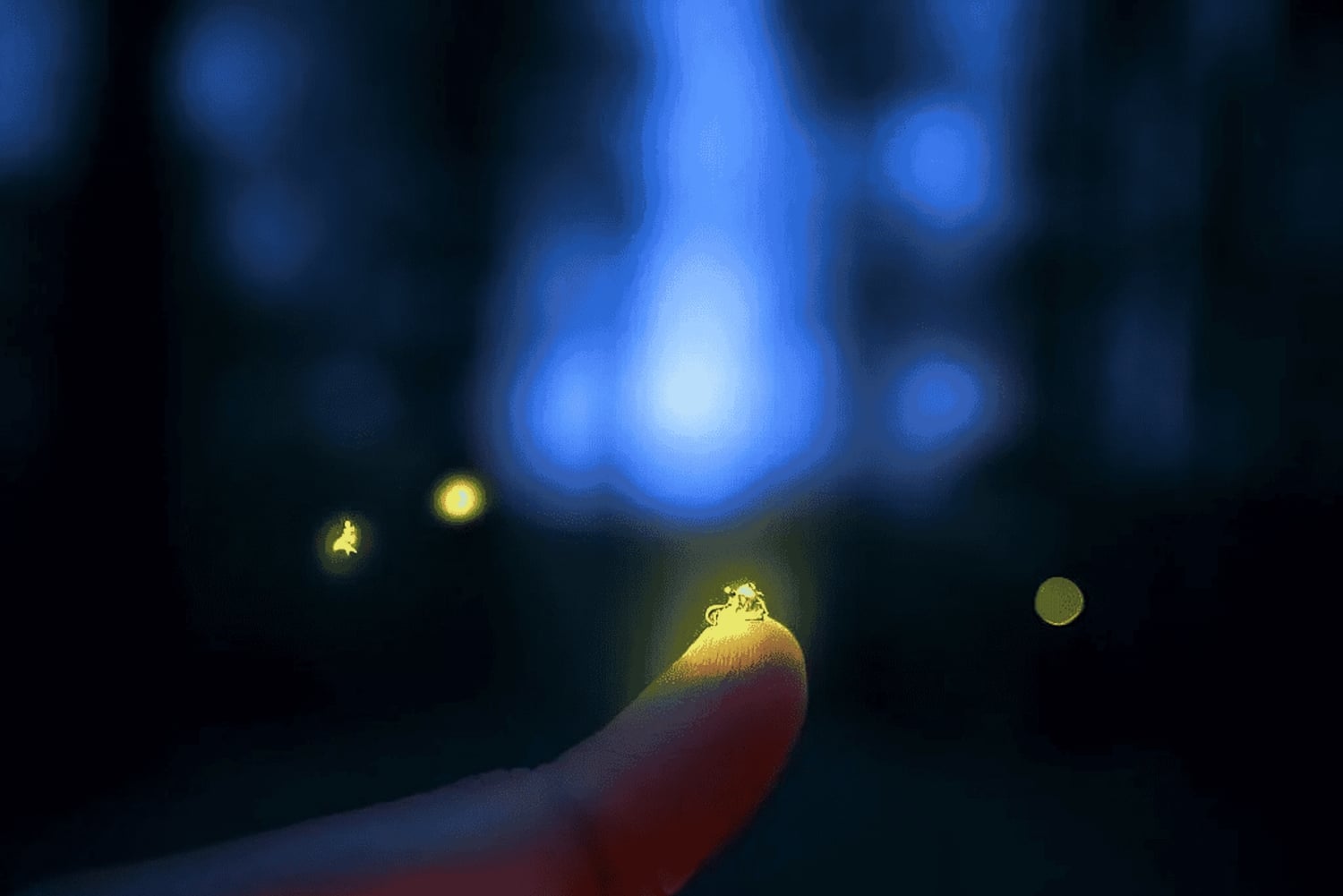 Ubud: Taro Village Firefly Excursion with a Vegetarian Meal