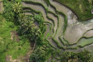 Ubud : Visite photographique de la rizière de Tegalalang avec billet Swing