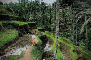 Ubud: Tour fotografico della terrazza di riso di Tegalalang con biglietto Swing