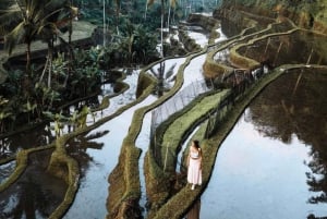Ubud: Tegalalang Rice Terrace-fototur med Swing-billet