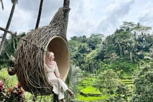 Ubud: Tour fotografico della terrazza di riso di Tegalalang con biglietto Swing